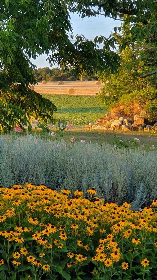 Au Calme Chez L'Habitant Foulayronnes Dış mekan fotoğraf